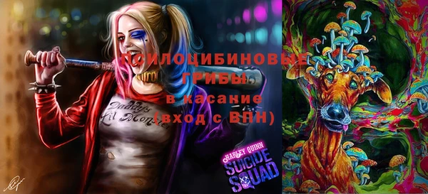 эйфоретик Алзамай