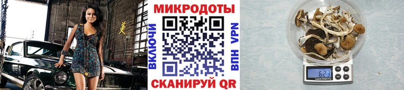 Галлюциногенные грибы Cubensis  Пучеж 