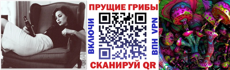 Галлюциногенные грибы Psilocybine cubensis Пучеж